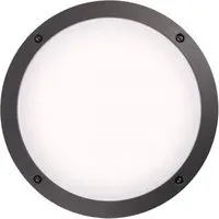 Clara Wall and Ceiling Light - Anthracite, Aluminum