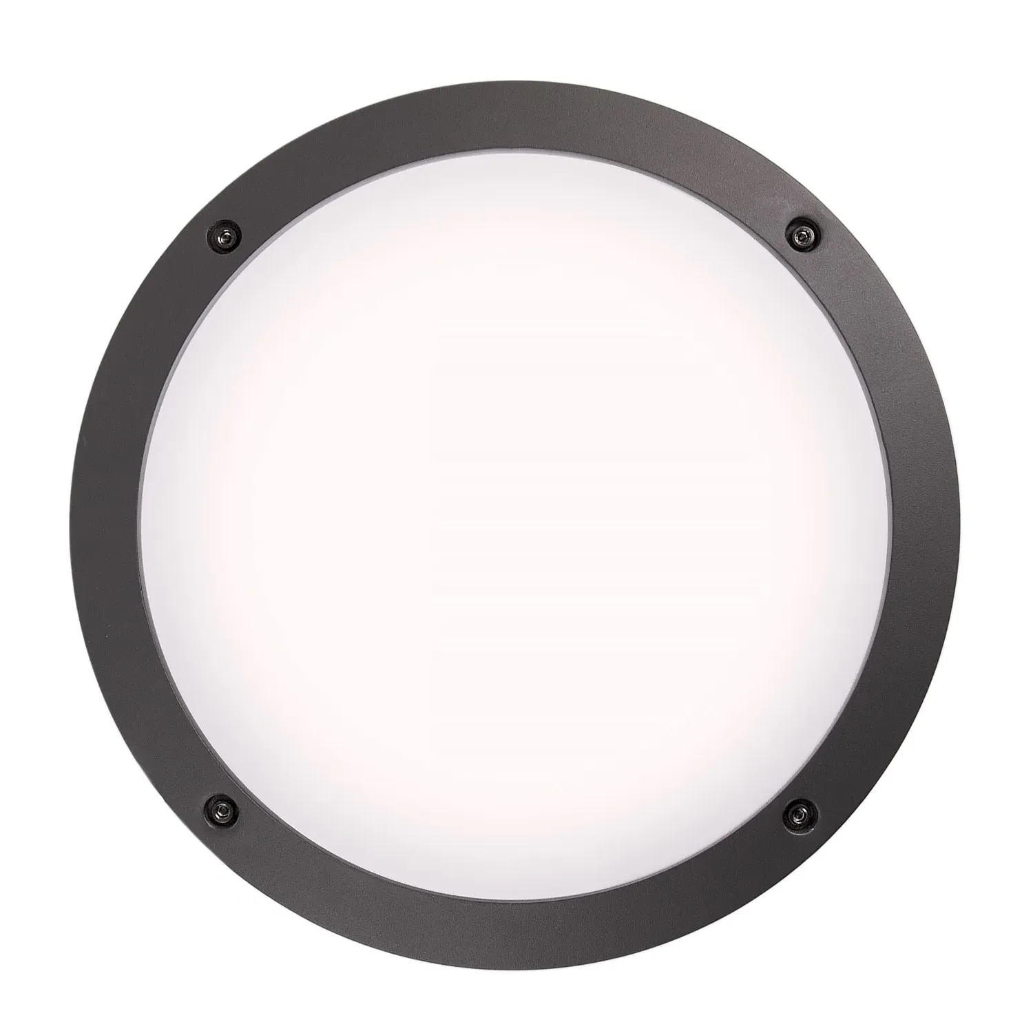 Clara Wall and Ceiling Light - Anthracite, Aluminum