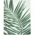 Ostenza Indoor Outdoor Rug - Green