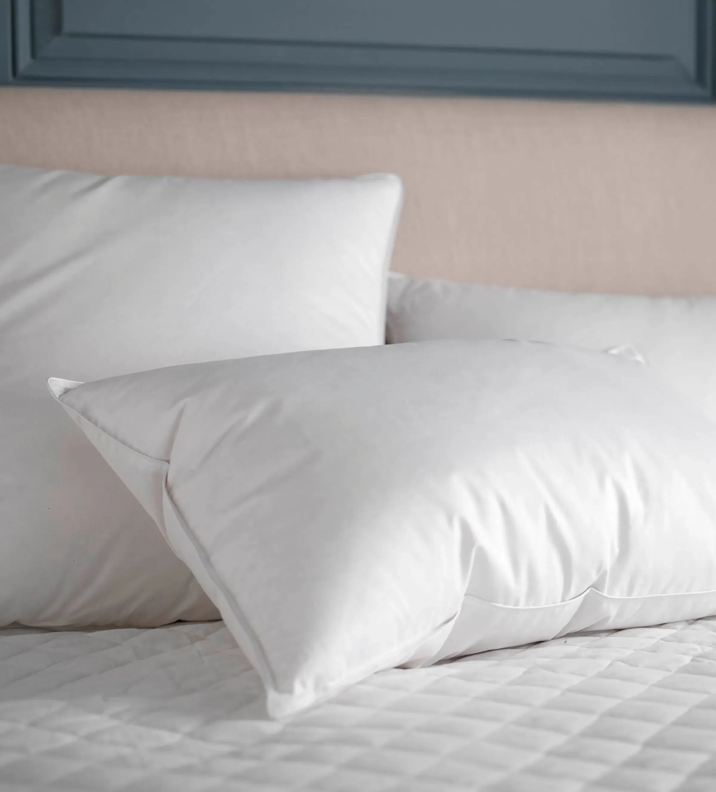 Dacron Comforel Hollowfibre Down Alternative Pillow - White, Cotton product