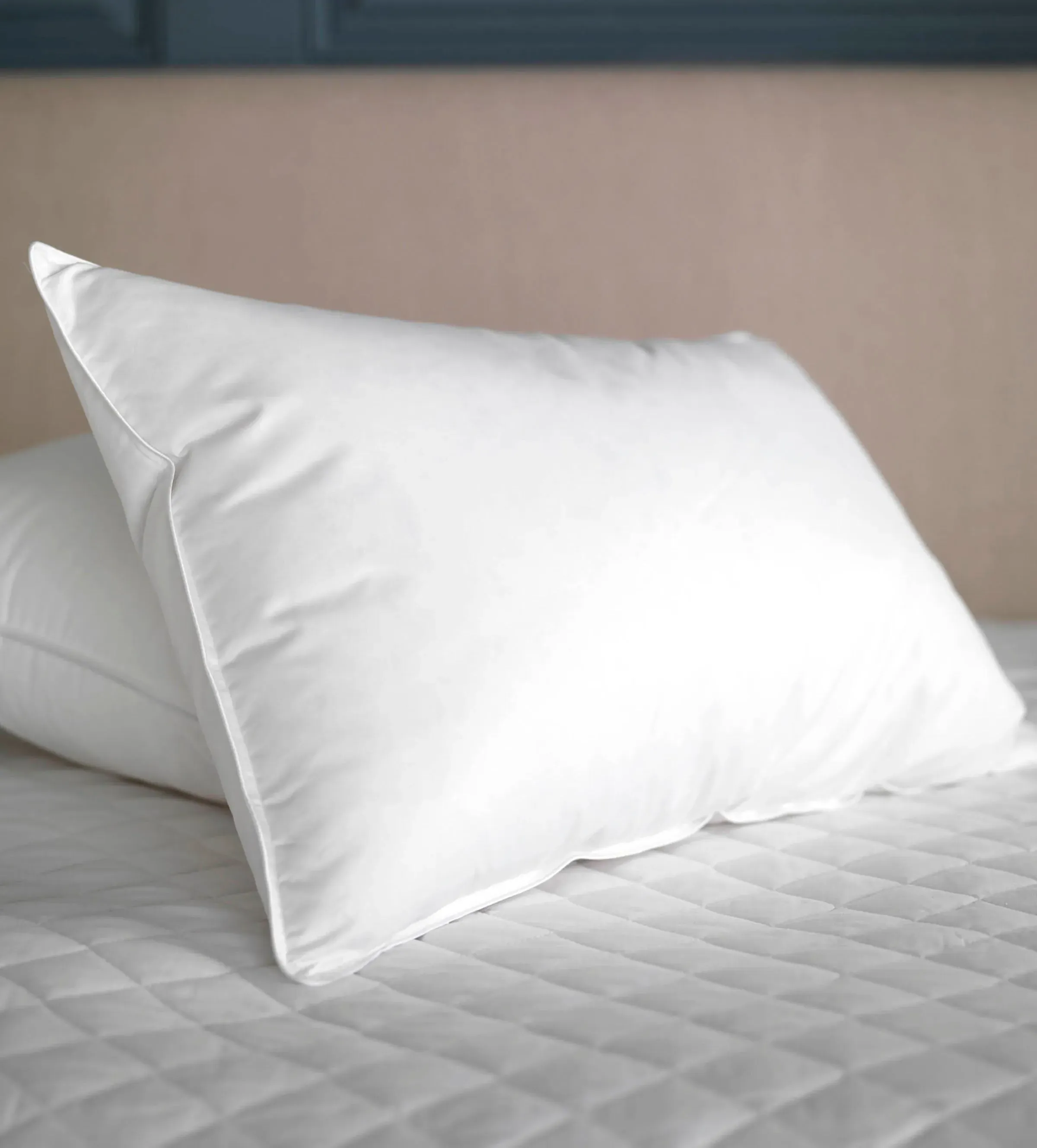 European Goose Feather & Down Pillow - White, Cotton product