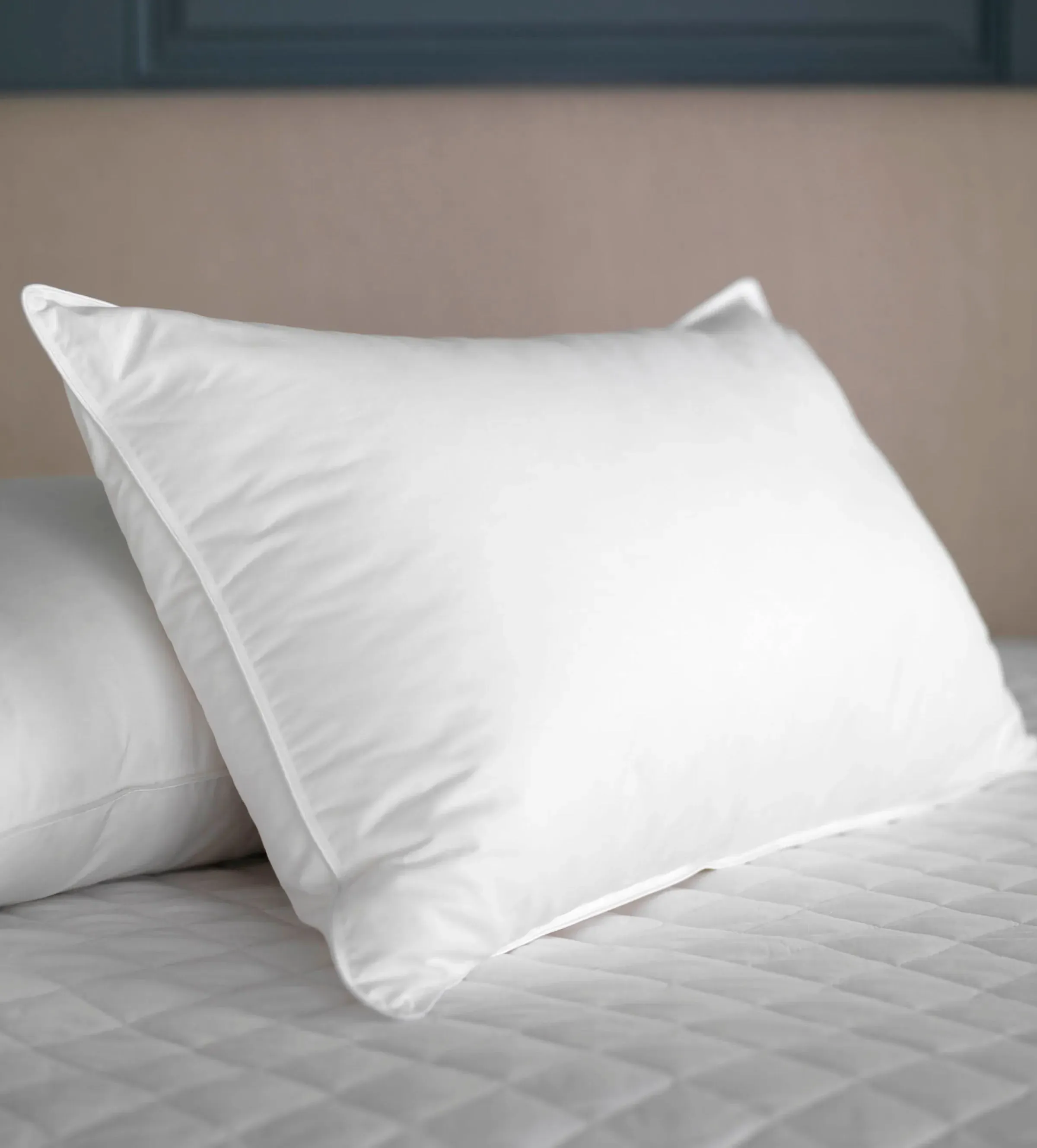 Hungarian Goose Feather & Down Pillow product