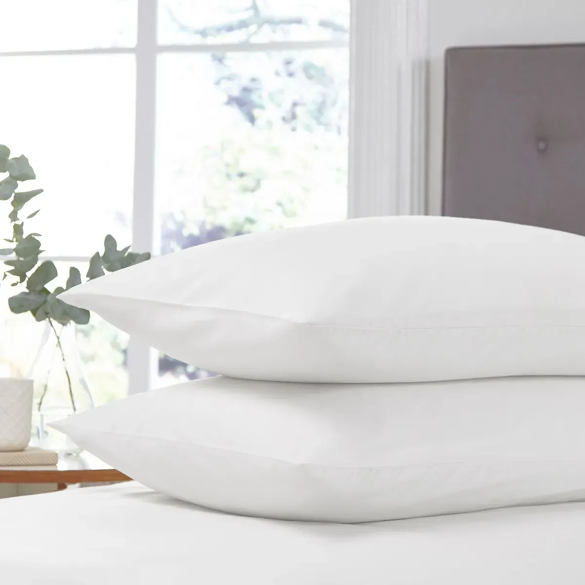 Cotton Rich Pillowcase Pair - White product