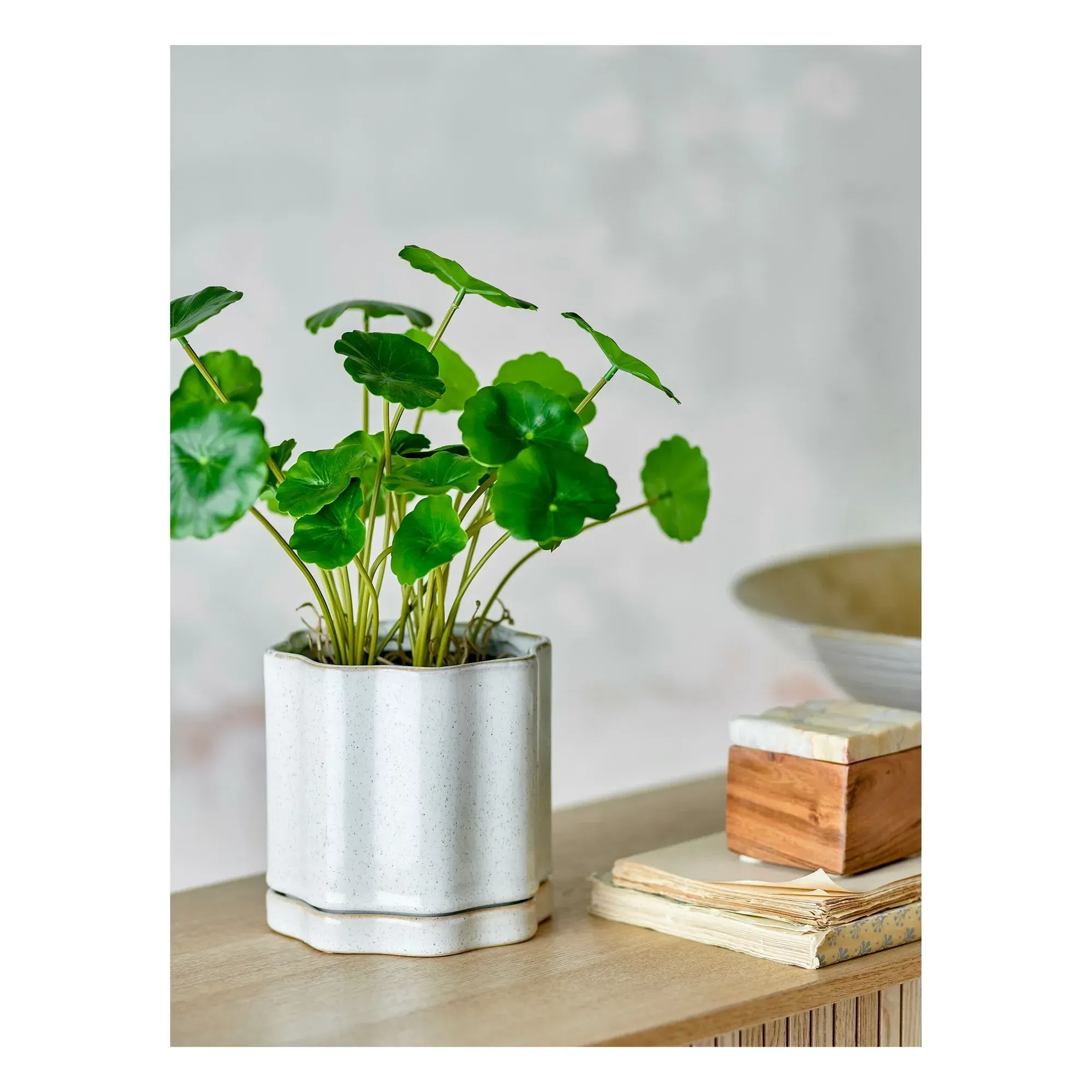 Argyle Stoneware Flowerpot with Saucer - Grey alternate view