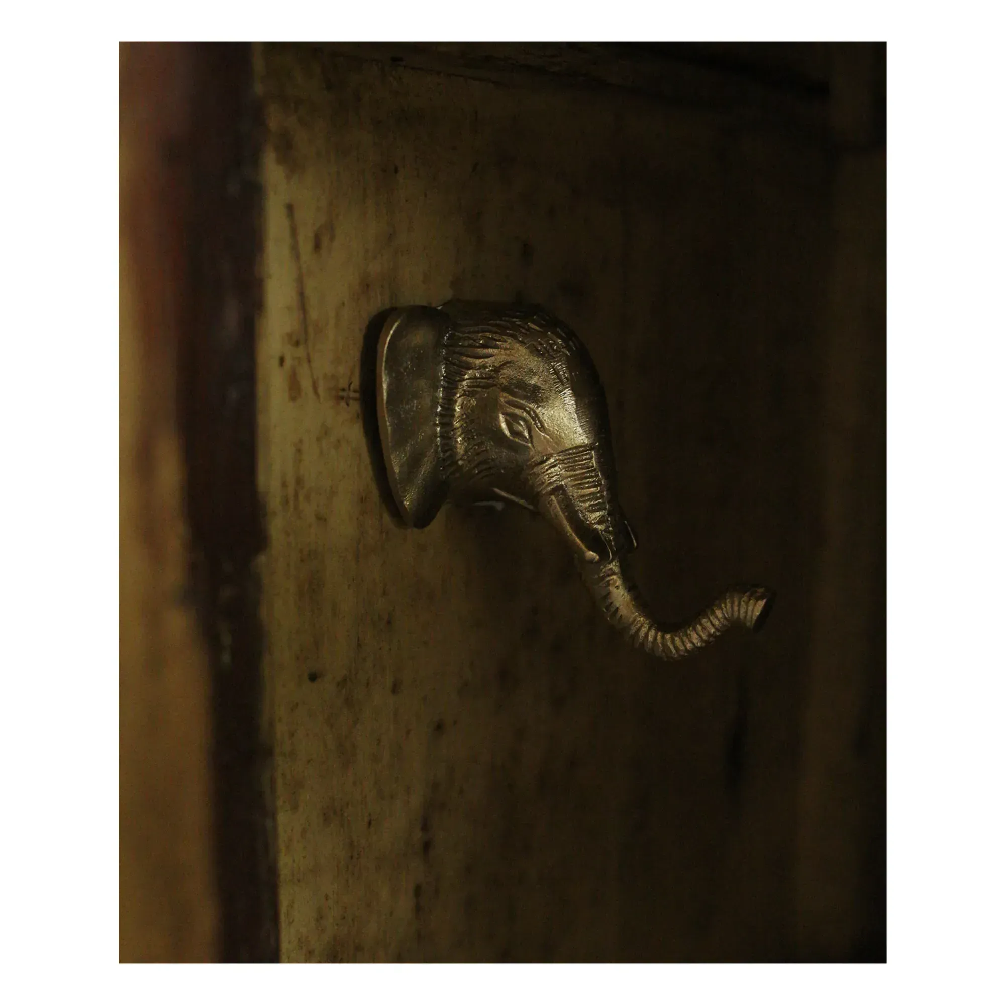Billy Elephant Coat Hook - Gold, Brass alternate view