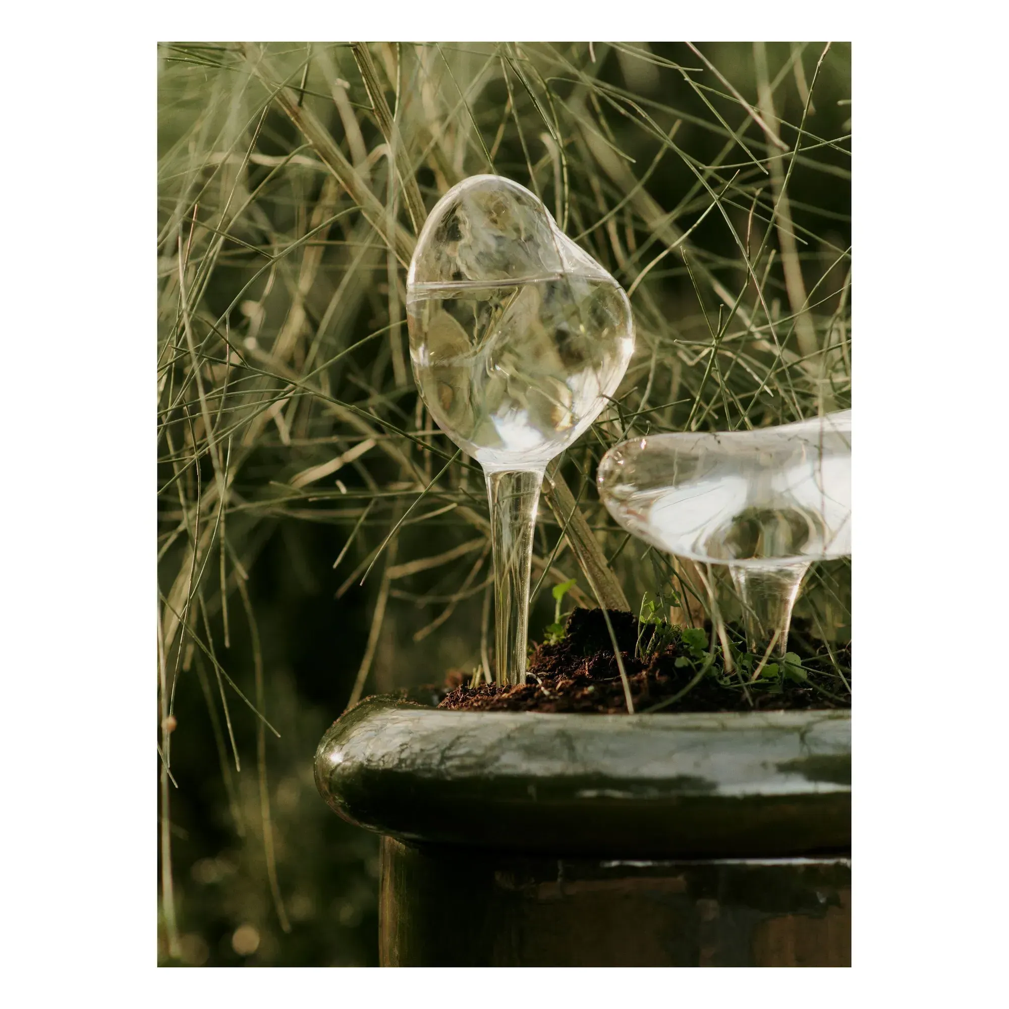 Mercury Watering Globes Set of 2 - Transparent, Glass alternate view