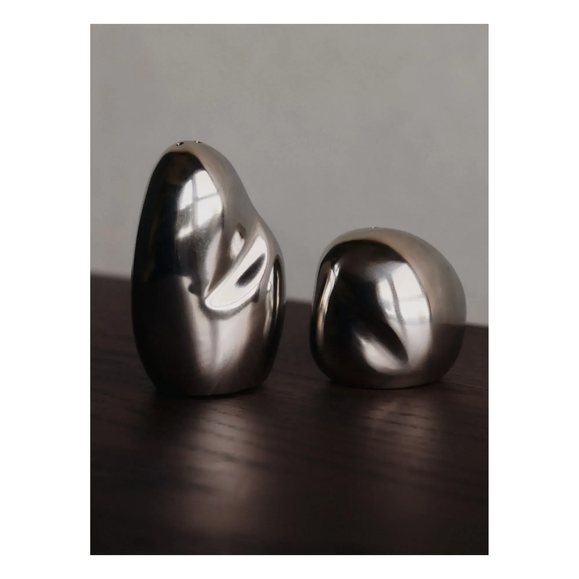 Orevo Salt and Pepper Shakers - Steel, Stainless Steel alternate view