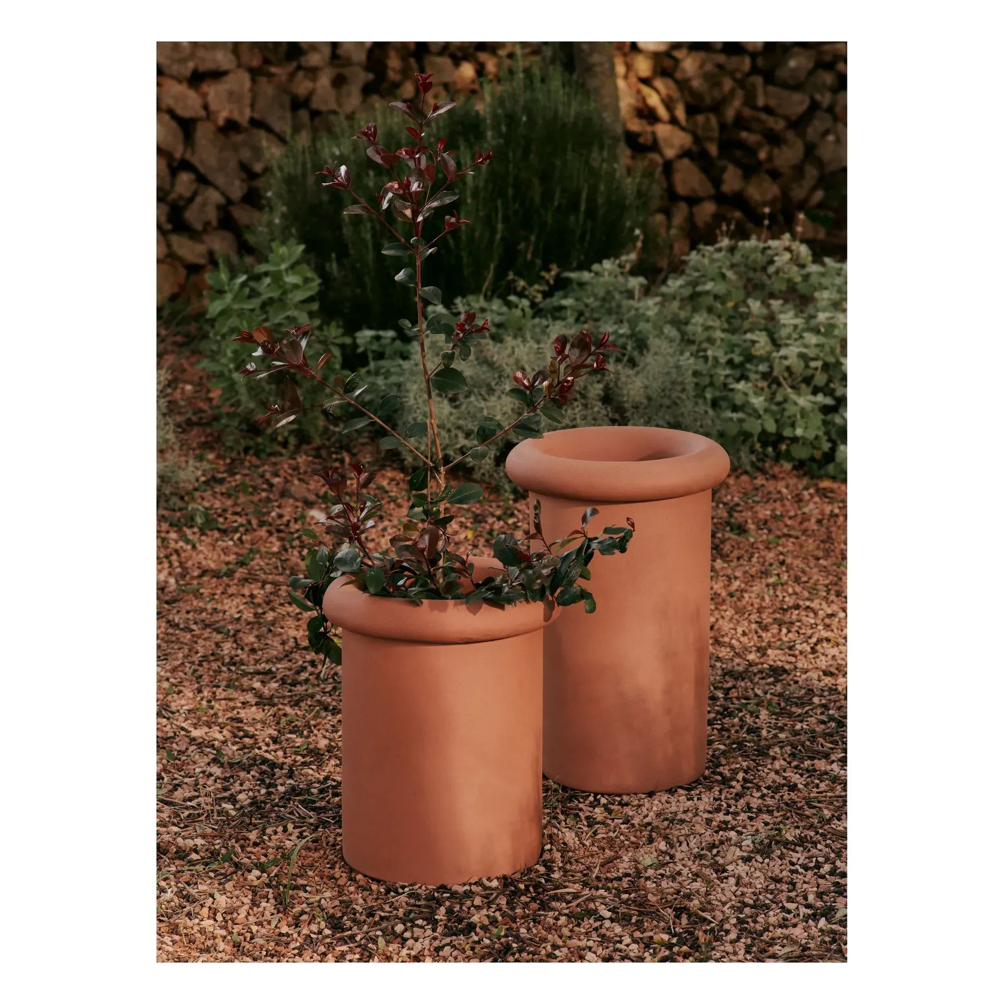 Rollo Planter with Saucer - Terracotta alternate view
