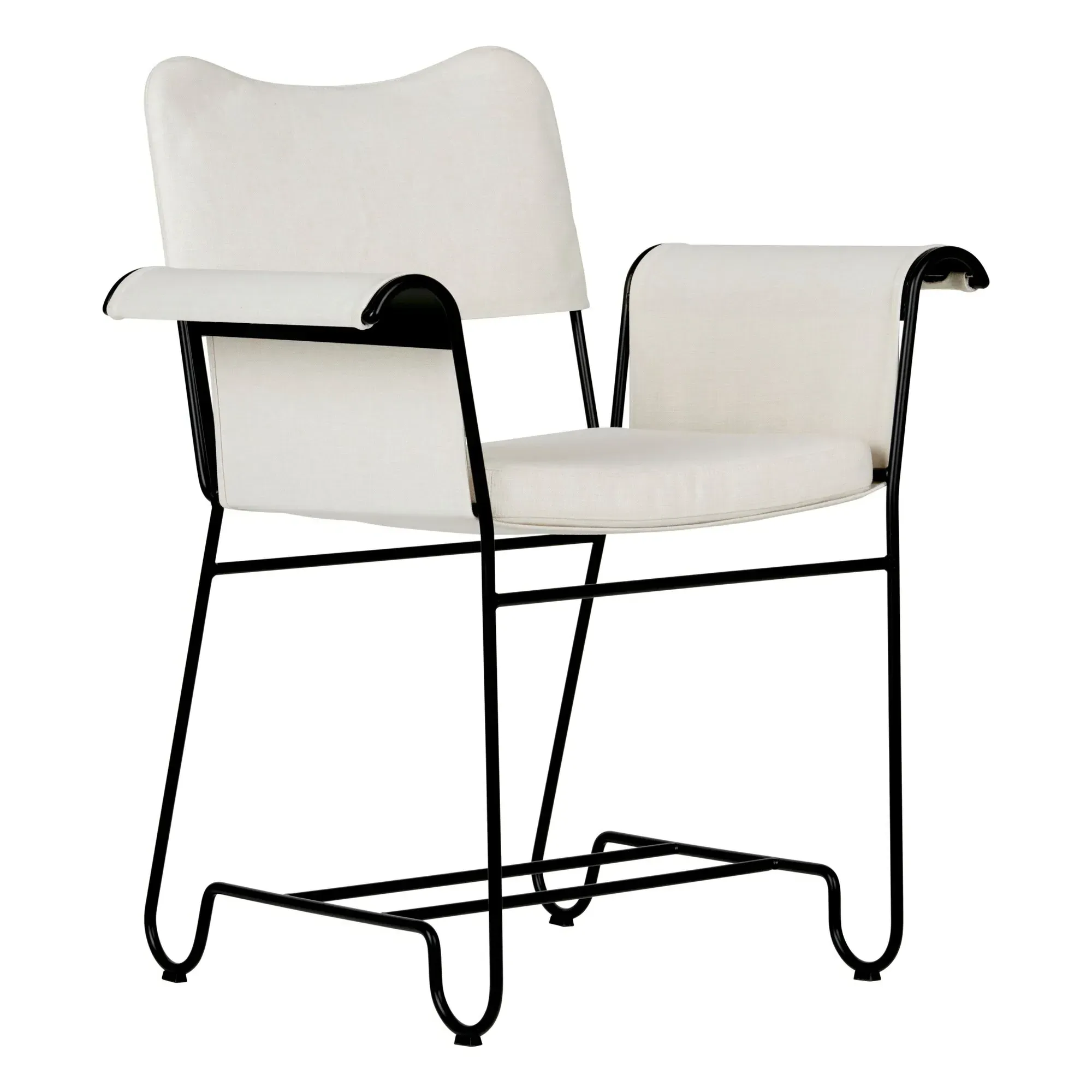 Tropique Mathieu Matégot Dining Chair - Black, Stainless Steel product