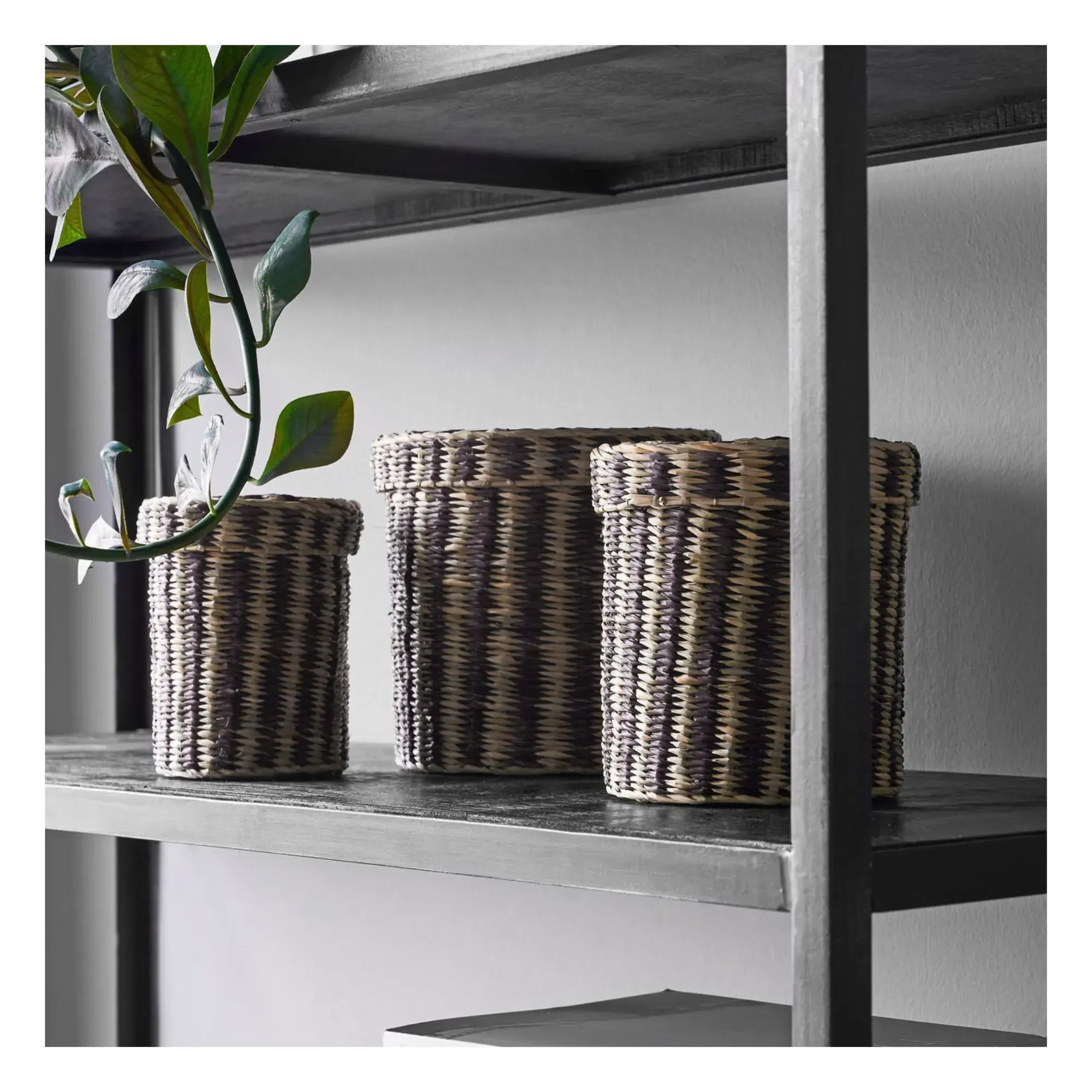 Storage Boxes Set of 3 - Natural, Seagrass alternate view