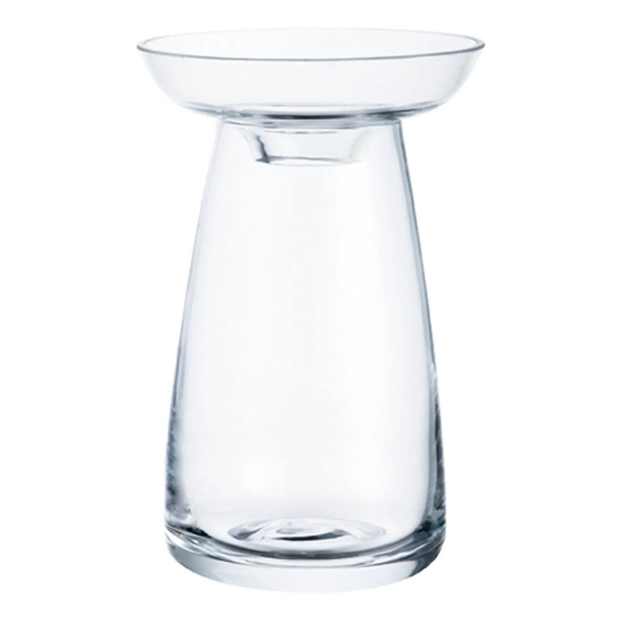 Aquaculture Glass Vase - Transparent product