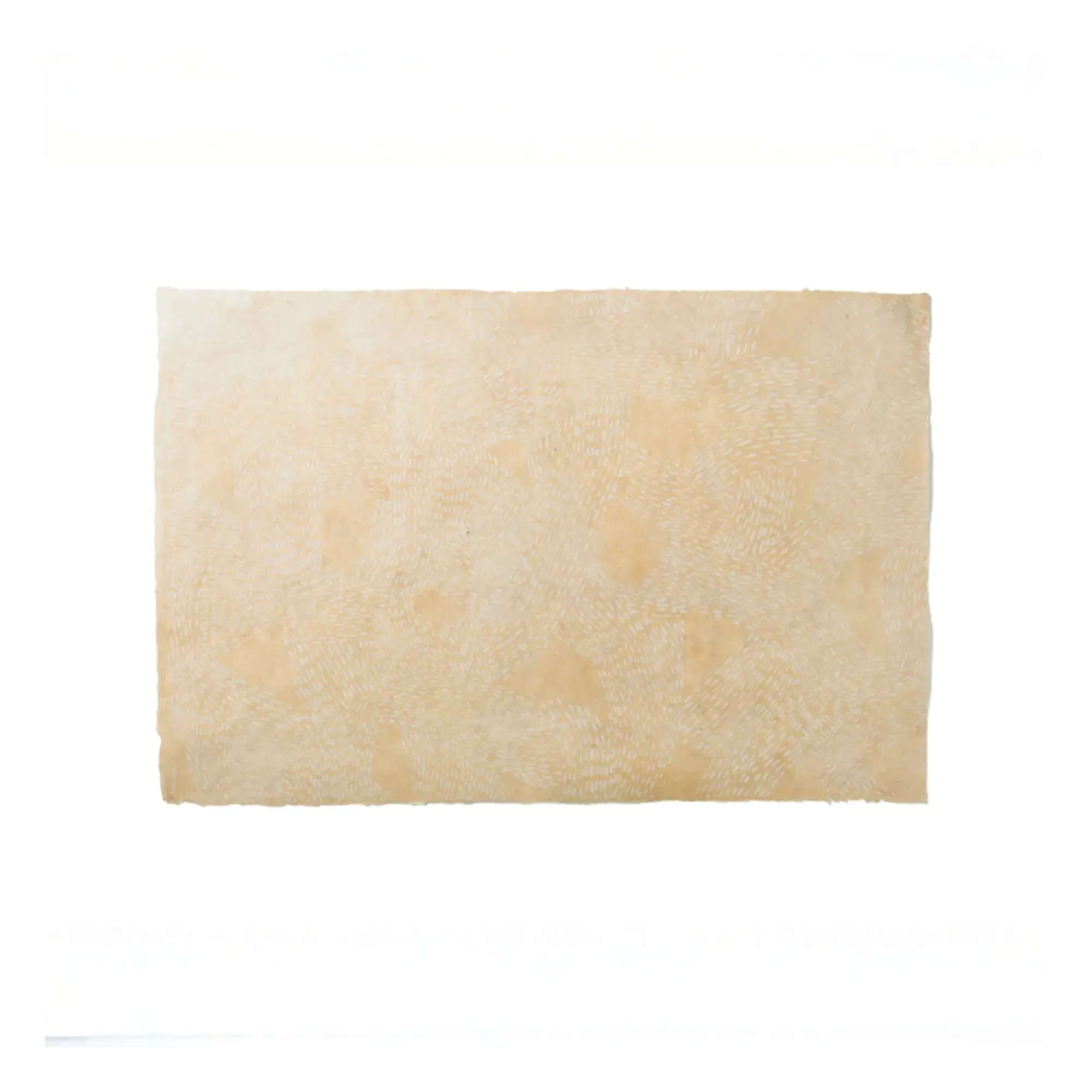 Uyuni Set of 12 Sheets Wallpaper - Natural, Rice Leaf Paper product