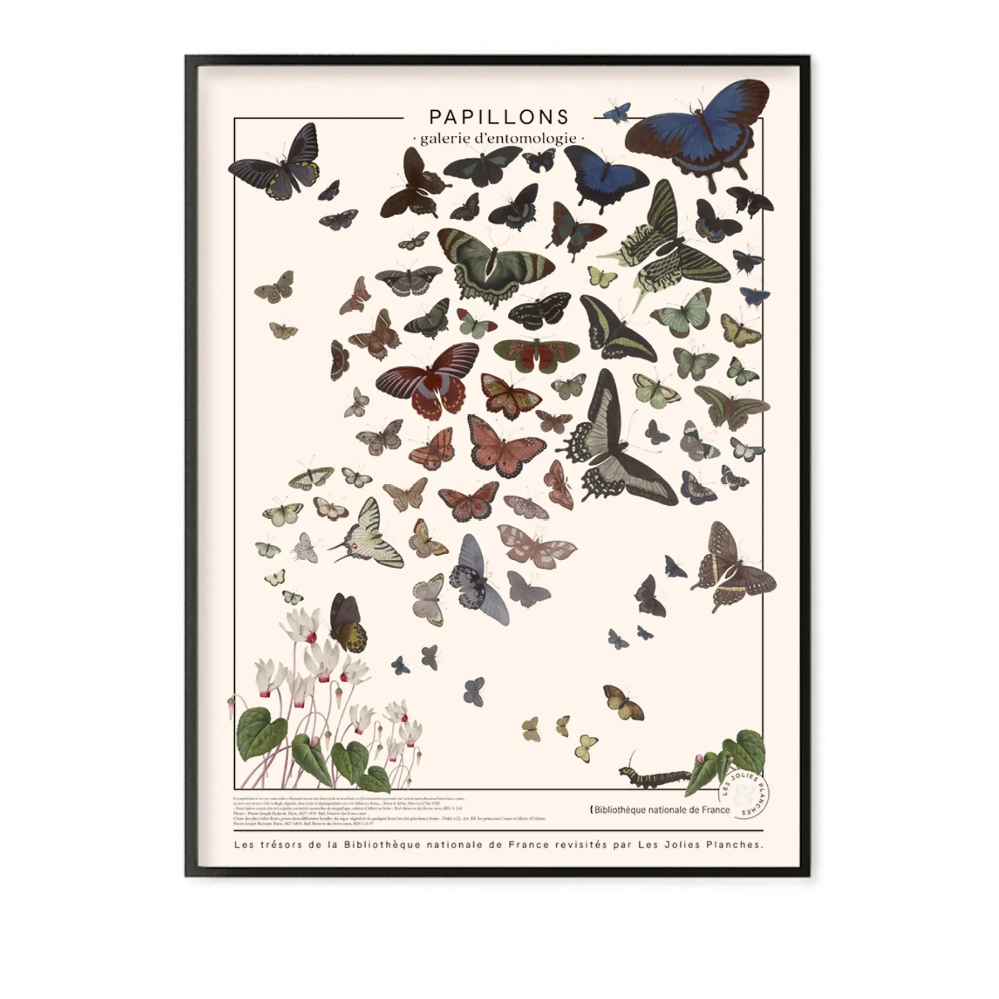 Butterfly Canvas Wall Board - Multicoloured, Polycotton product