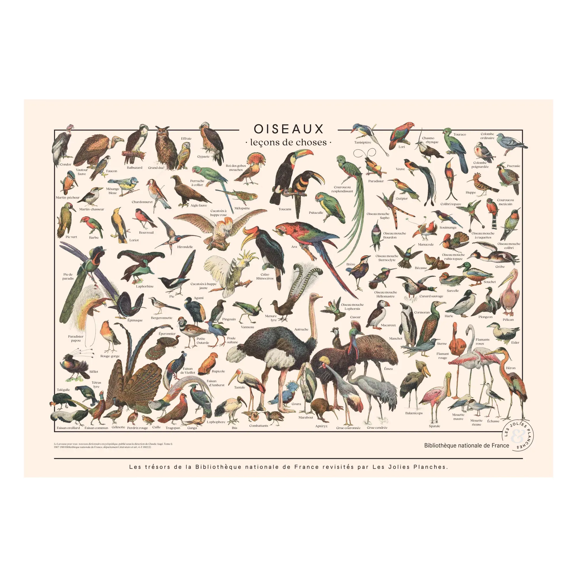 Les Jolies Planches Bird Wall Art Print - Multicoloured, Cotton product