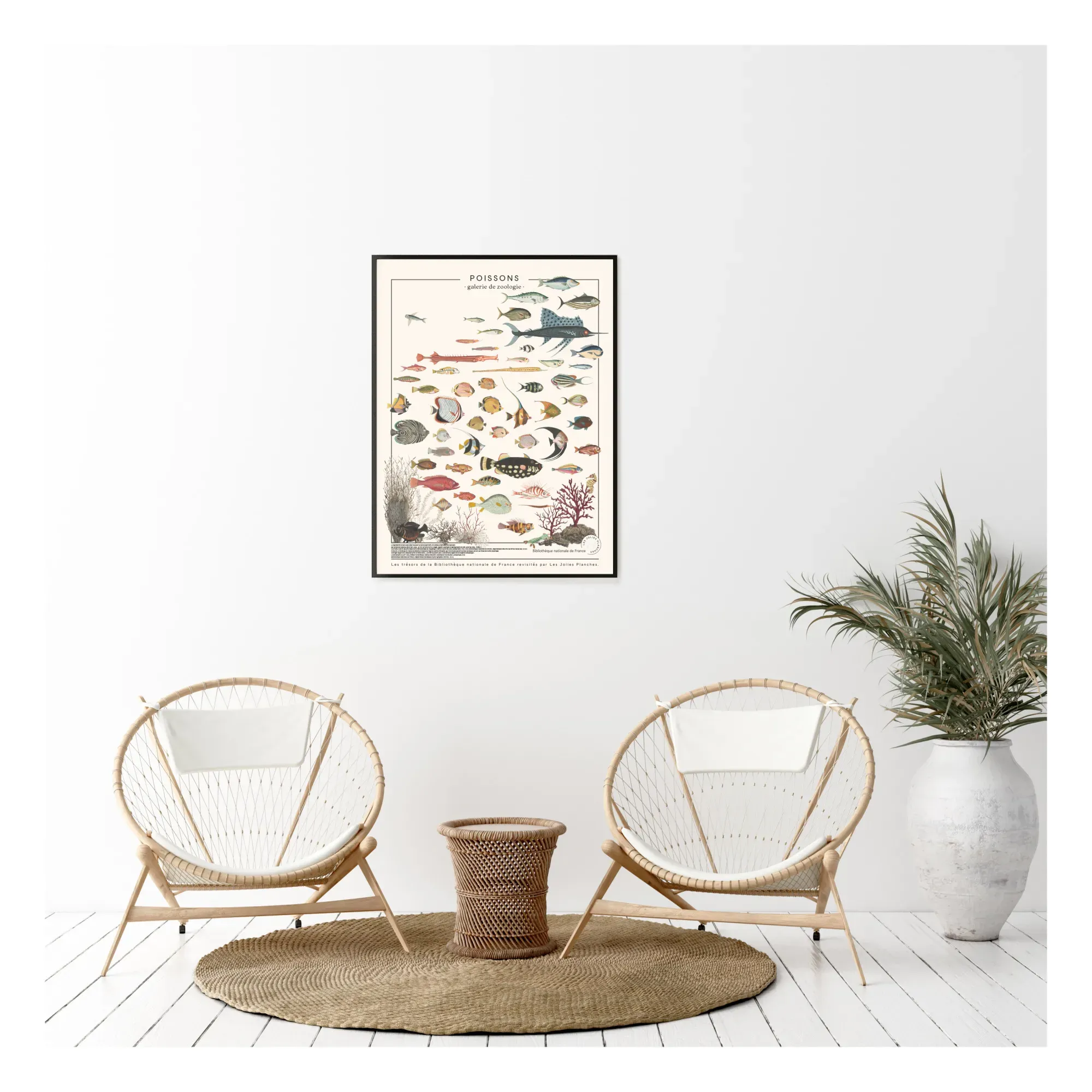 Les Jolies Planches Exotic Fish Wall Art - Multicoloured, Polycotton alternate view