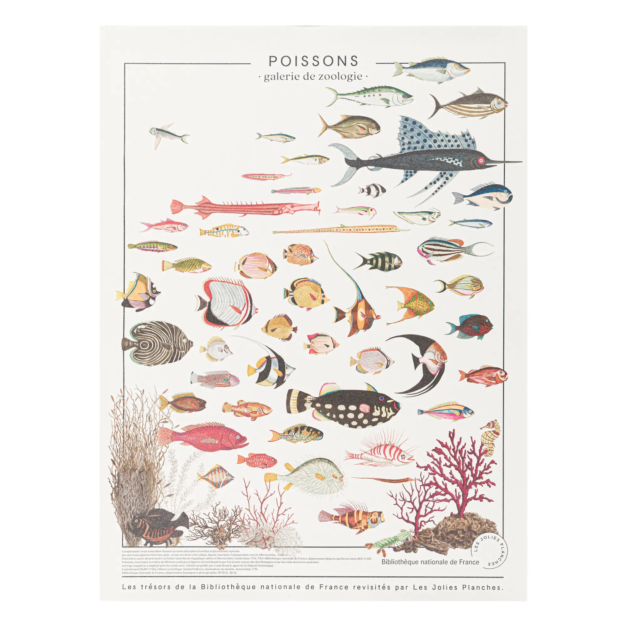 Les Jolies Planches Exotic Fish Wall Art - Multicoloured, Polycotton product