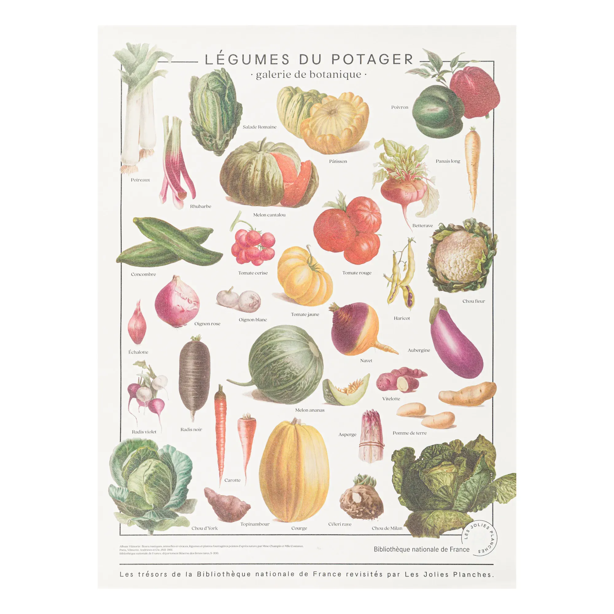 Vilmorin Vegetable Wall Board - Multicoloured, Polycotton product