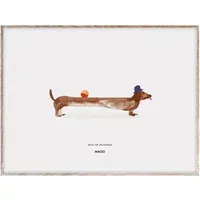 Doug the Dachshund 40x30 cm Poster - Multicoloured alternate view