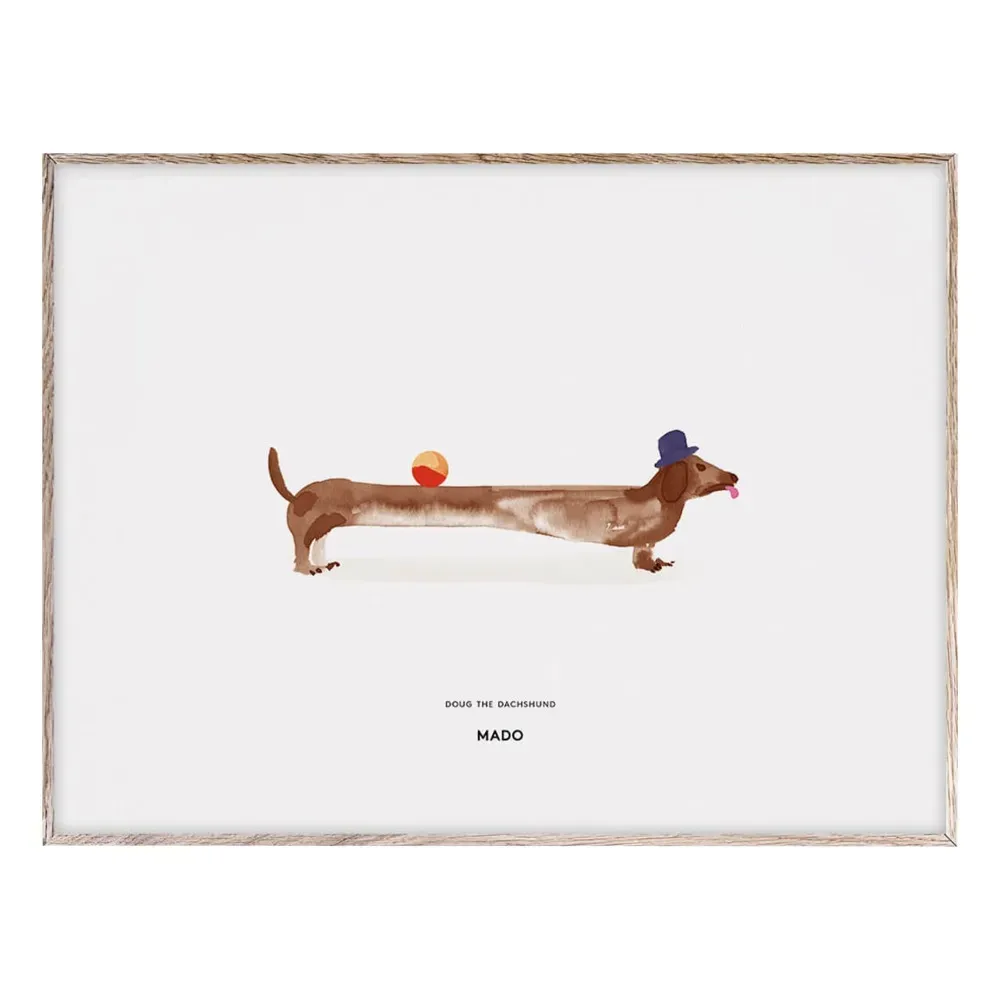 Doug the Dachshund 40x30 cm Poster - Multicoloured product