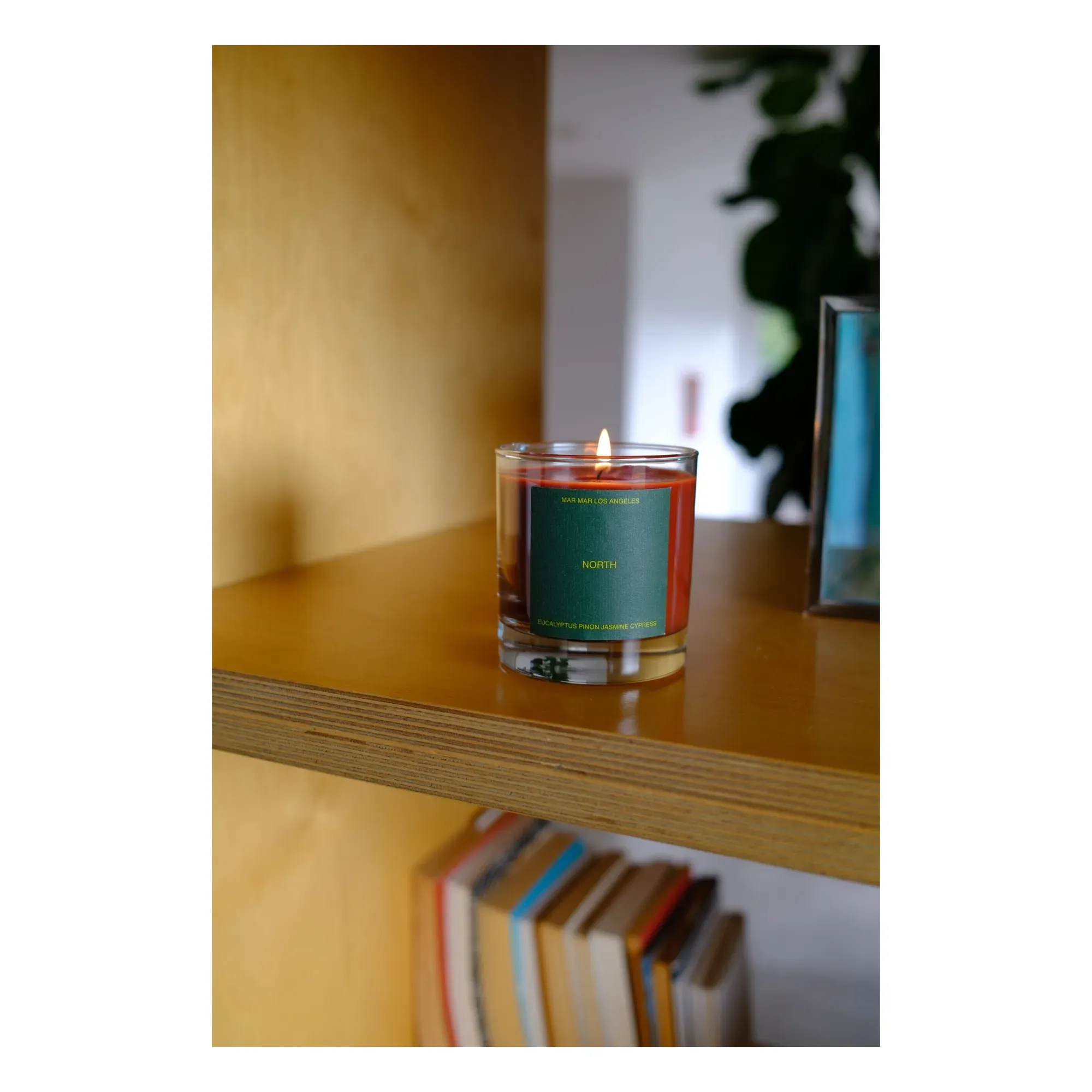 North Scented Candle - Coconut Wax product