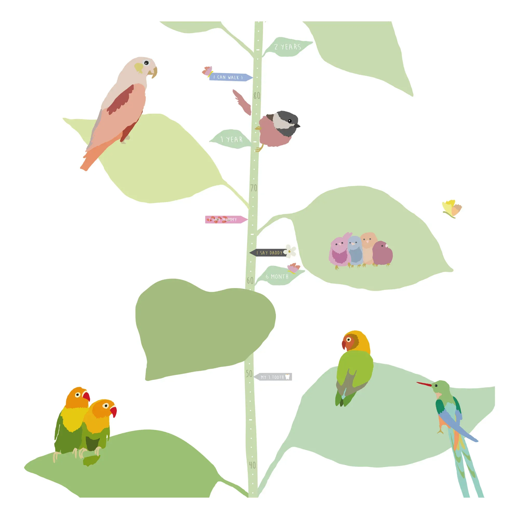 With The Birds Height Growth Chart - Multicoloured, Vinyl alternate view