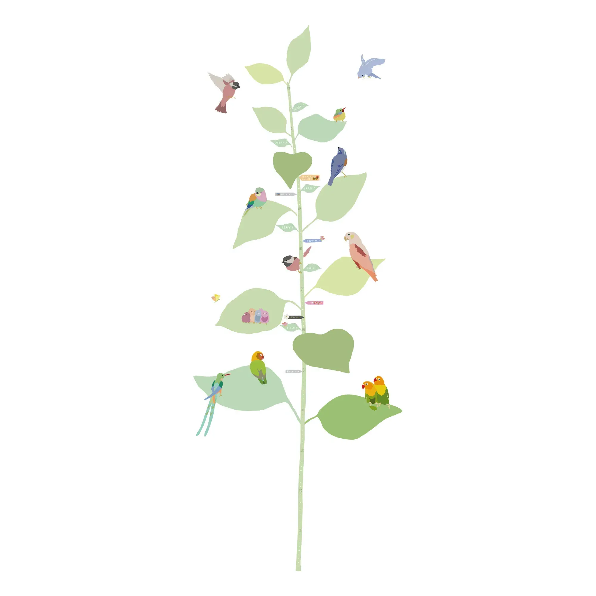 With The Birds Height Growth Chart - Multicoloured, Vinyl product