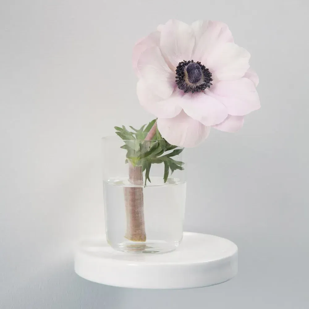 Inga Sempé Balcon Wall Shelf - White, Ceramic alternate view