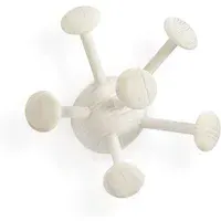 Bug Wall Hook - Natural, Ash Wood alternate view