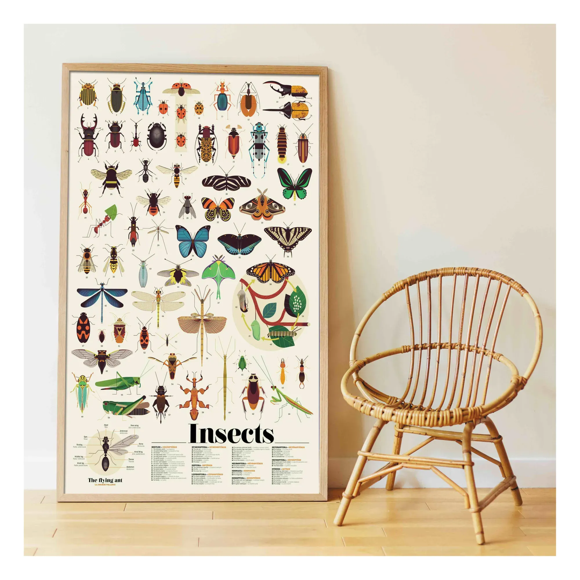 Poppik Insects Sticker Poster - Multicoloured, Paper alternate view