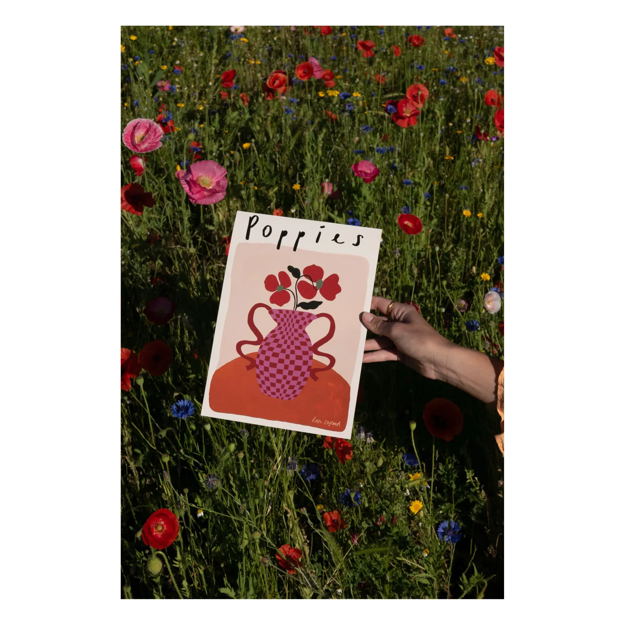 Rose England Poppies Poster - Pink alternate view