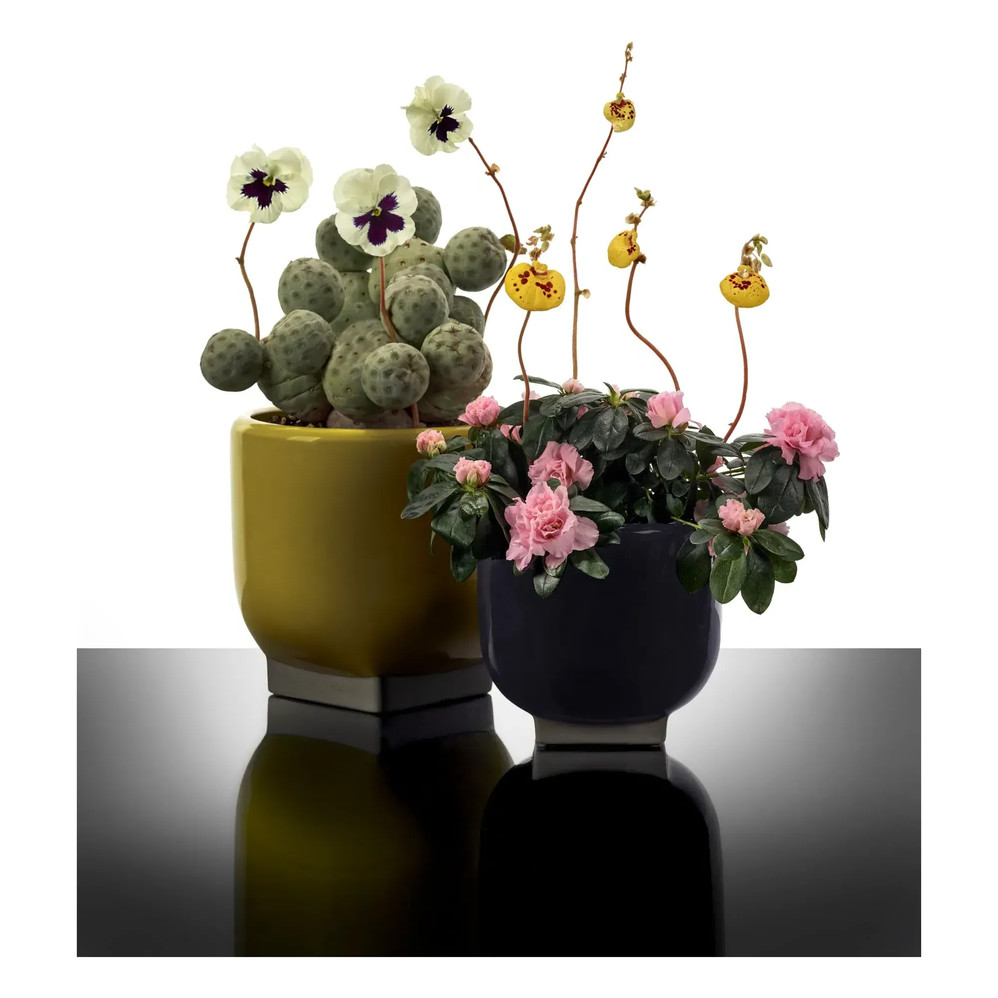 Rosamar by Kris Van Assche Cache-pot - Purple, Stoneware alternate view