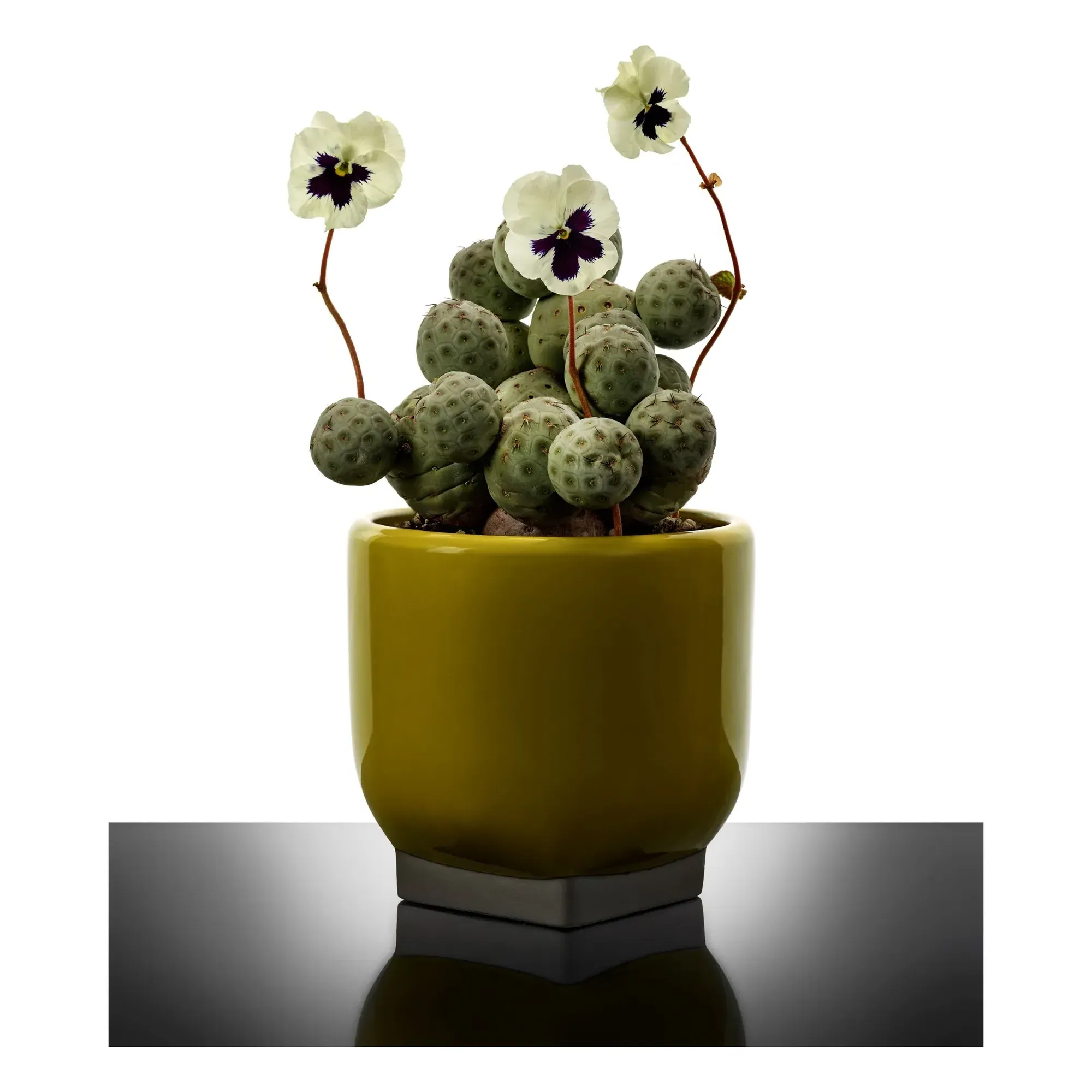 Rosamar by Kris Van Assche Cache-Pot - Yellow, Stoneware alternate view