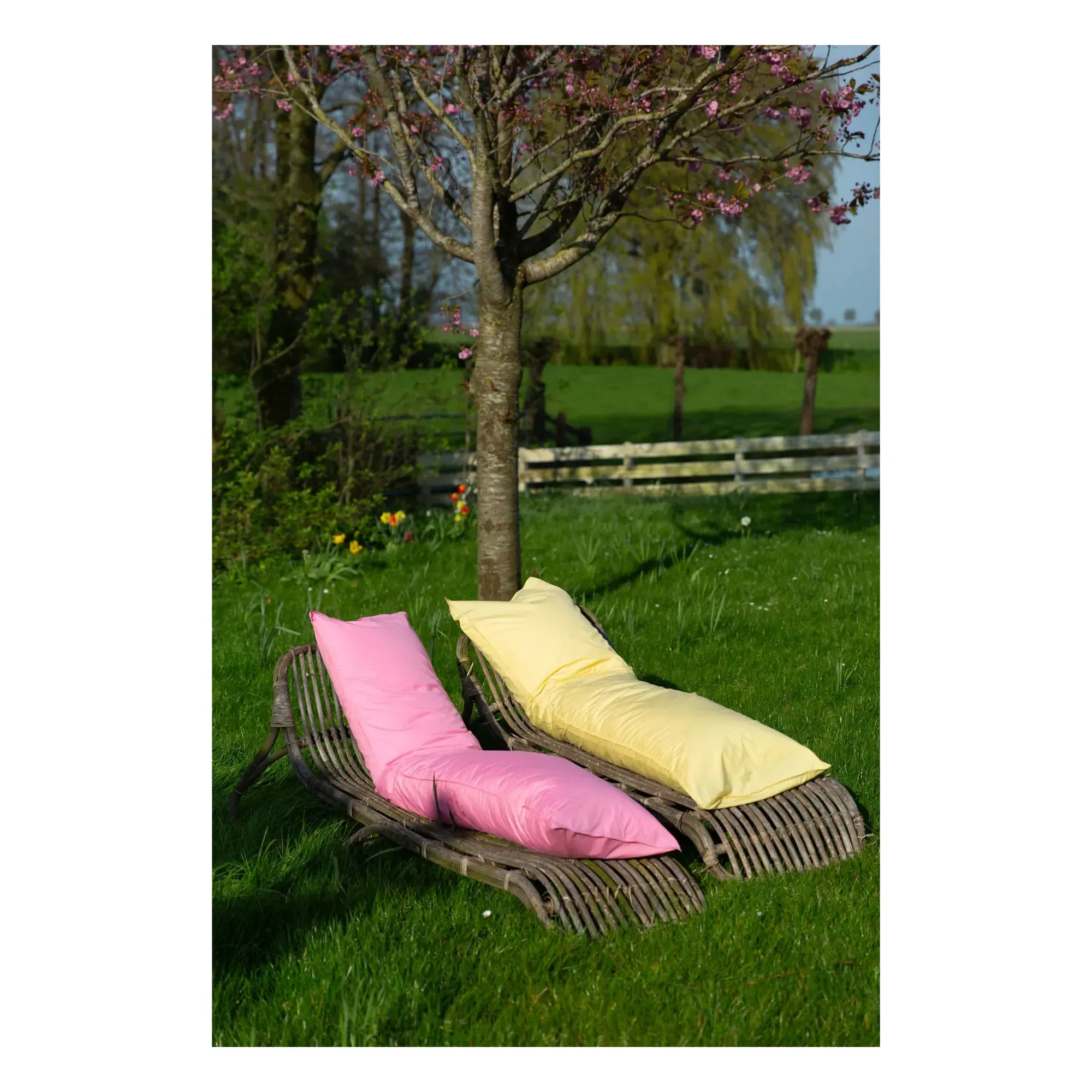 Bedmate Organic Percale Cushion - Butter Yellow, Cotton alternate view