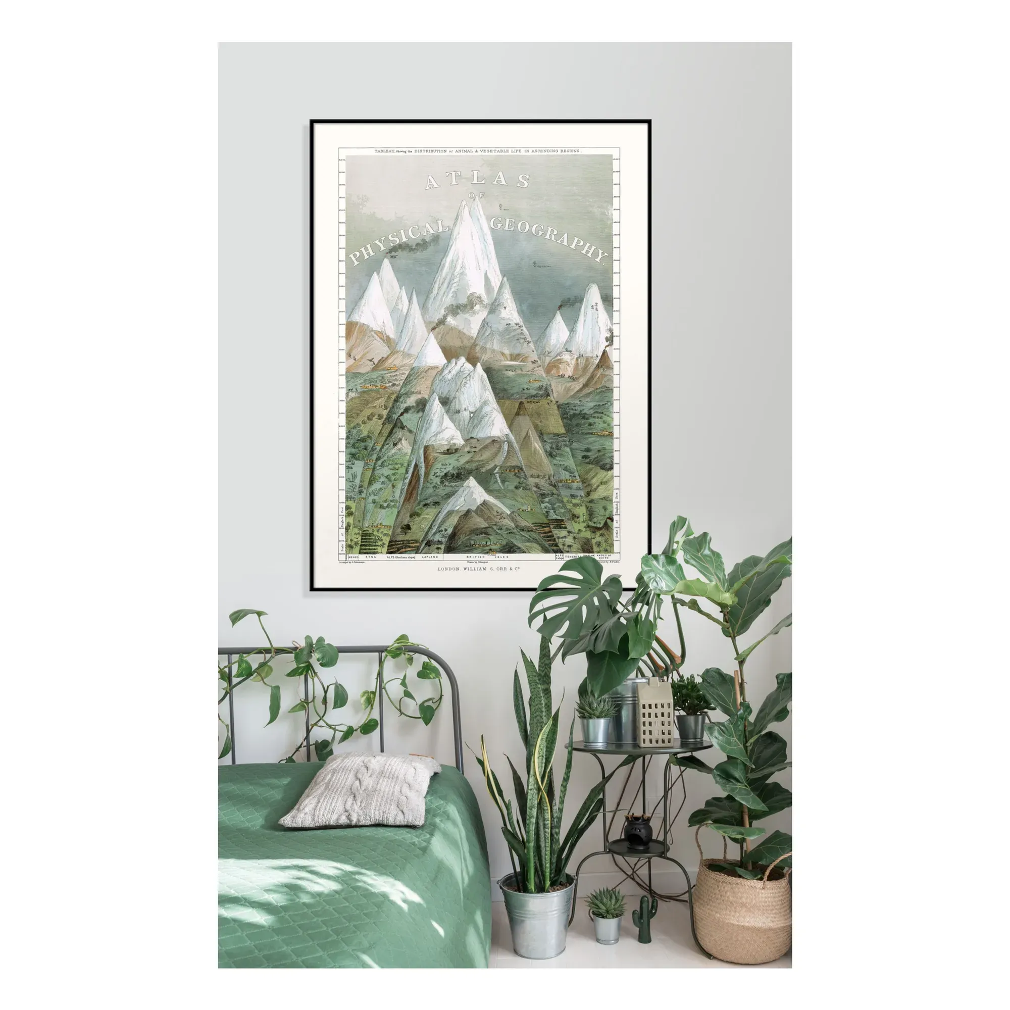 Atlas of Physical Geography Poster - Multicoloured alternate view
