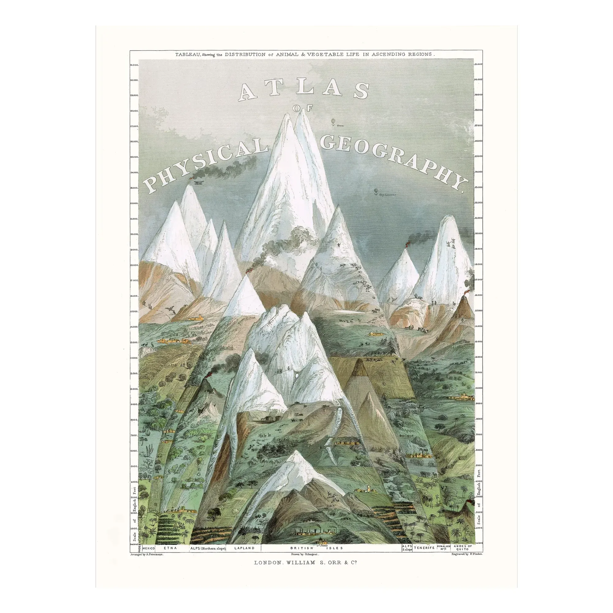 Atlas of Physical Geography Poster - Multicoloured product