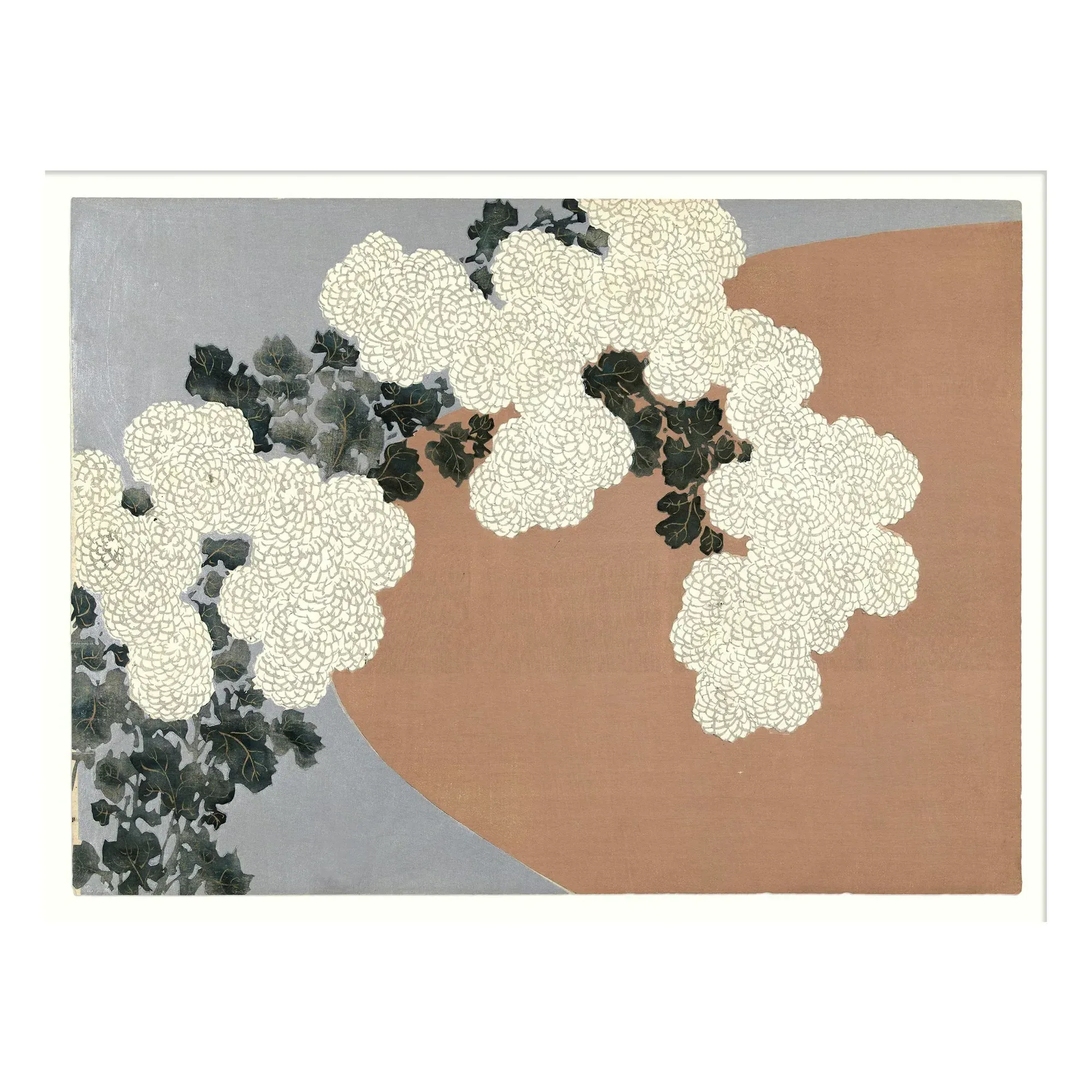 Chrysanthemum Art Print - Multicoloured, Matte Art Paper product