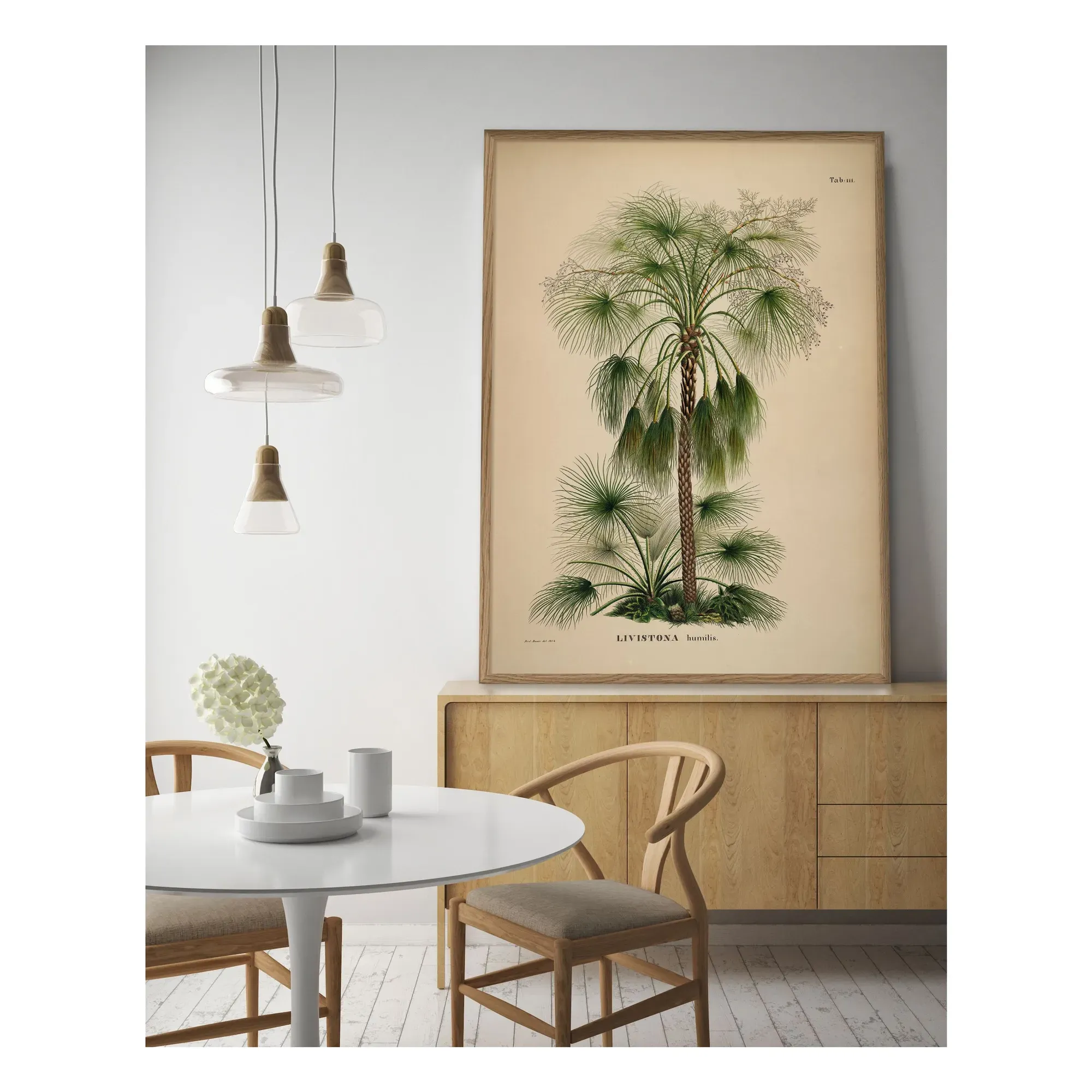 Livistona Humilis Art Poster - Multicoloured, Matte Art Paper alternate view