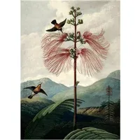 Tree of Flowers Poster - Multicoloured alternate view