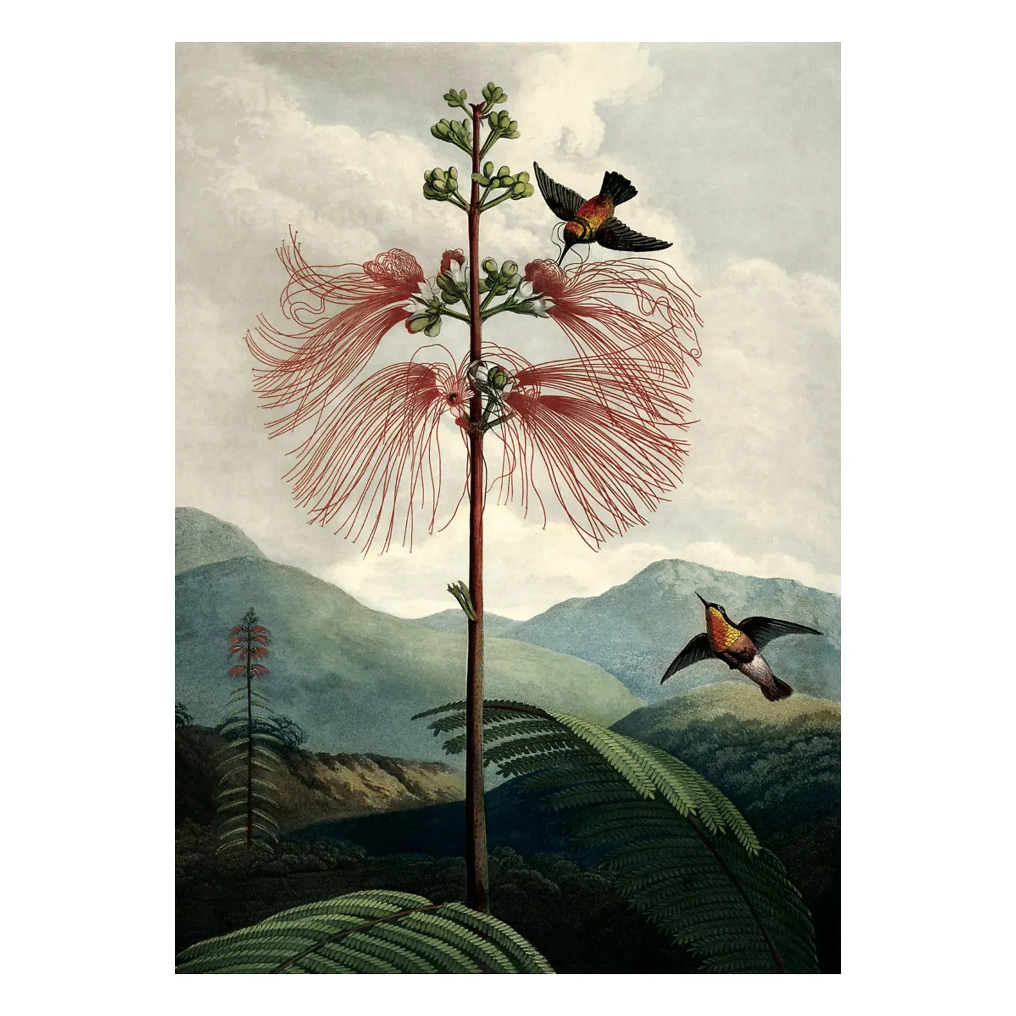 Tree of Flowers Poster - Multicoloured, Matte Art Paper product