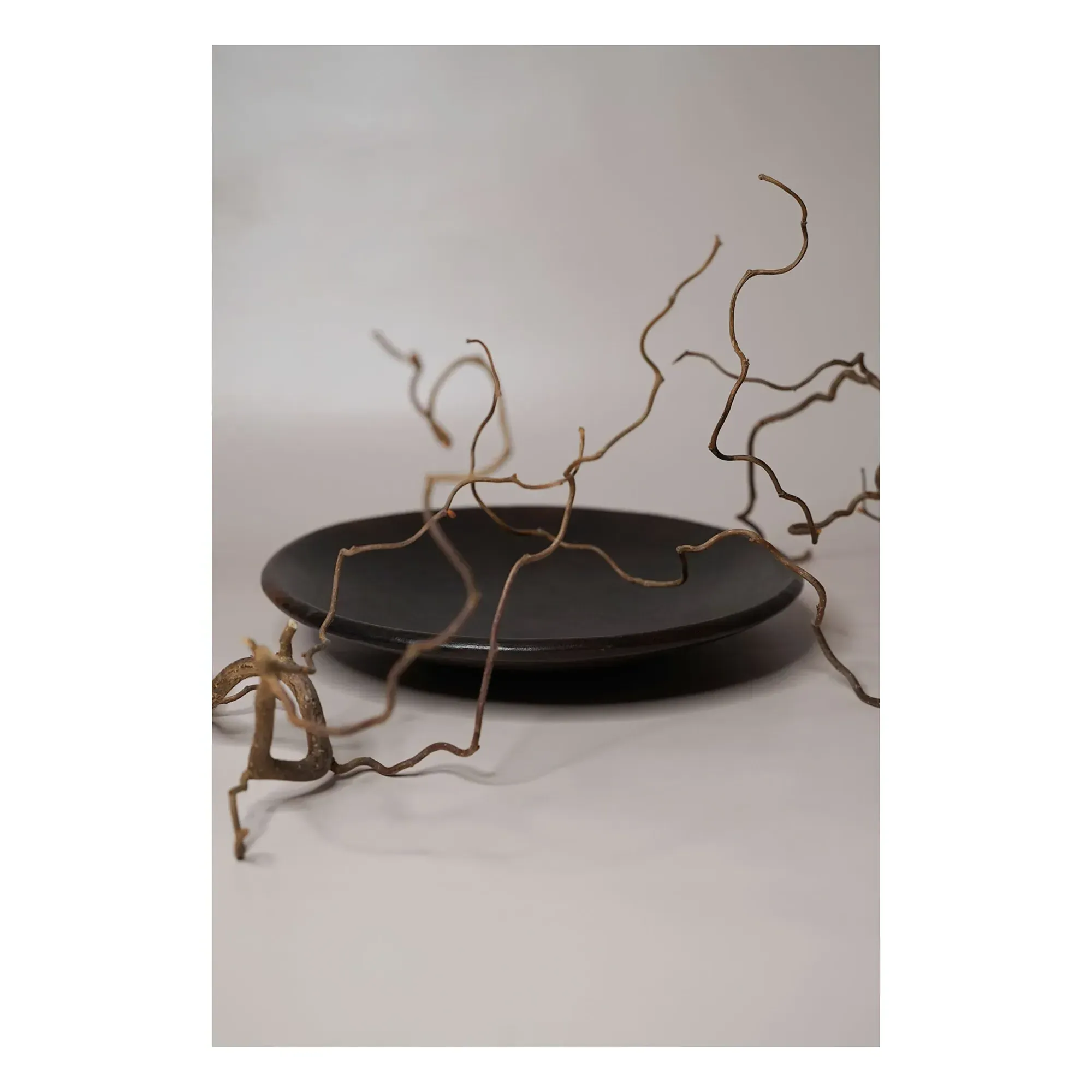 Round Terracotta Plate D28cm - Black alternate view