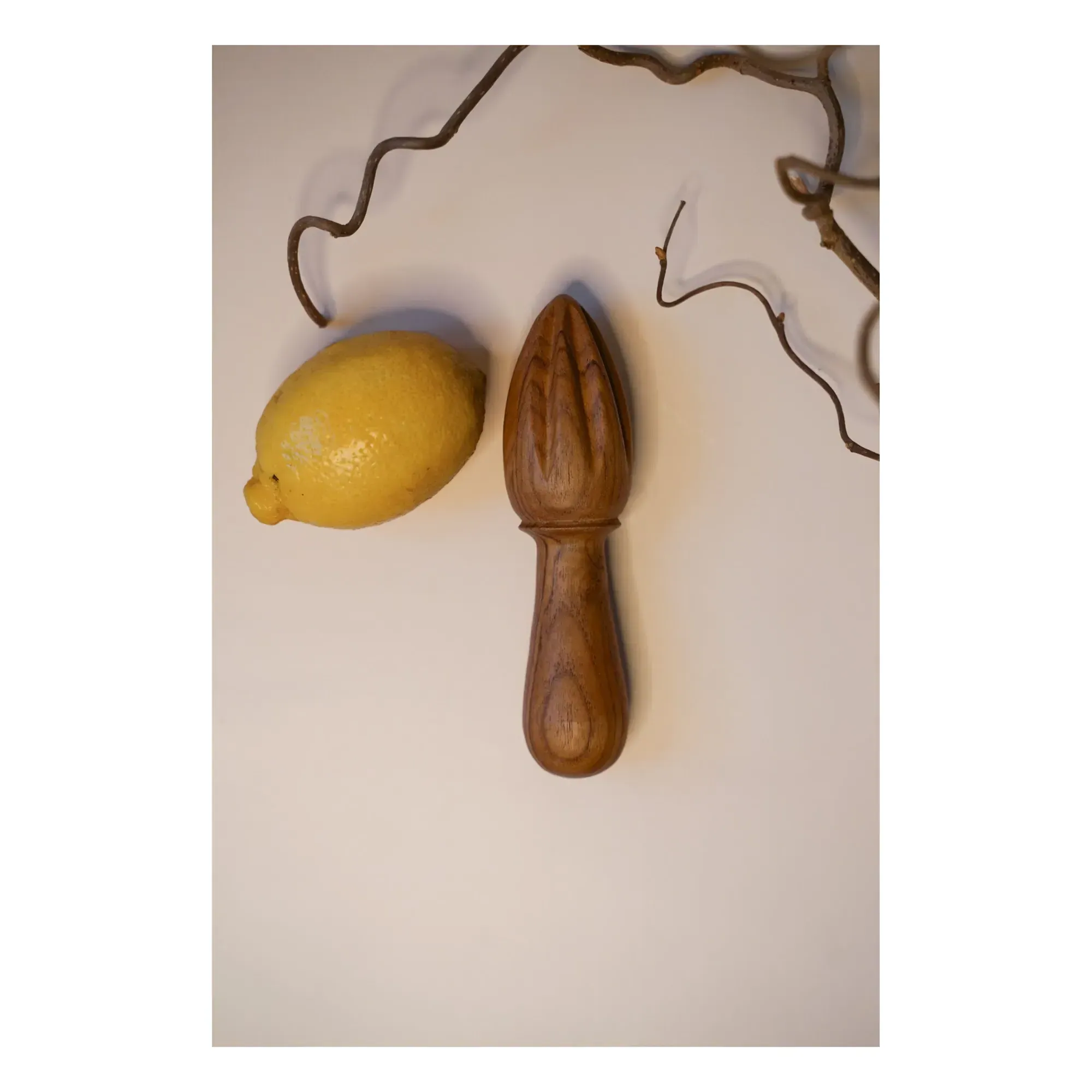 Woodmata Teak Citrus Press - Teak alternate view