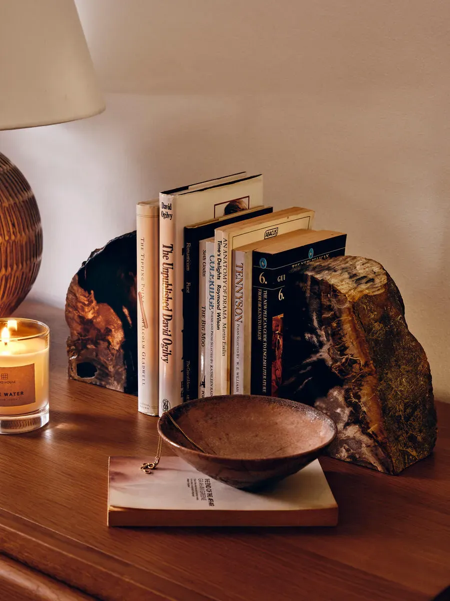 balfern-petrified-wood-bookends image