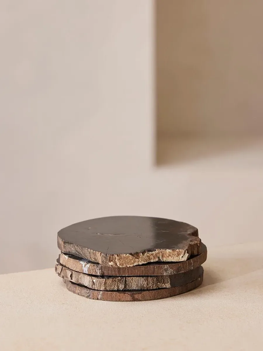 Balfern Petrified Wood Coasters - Set of Four by Soho Home