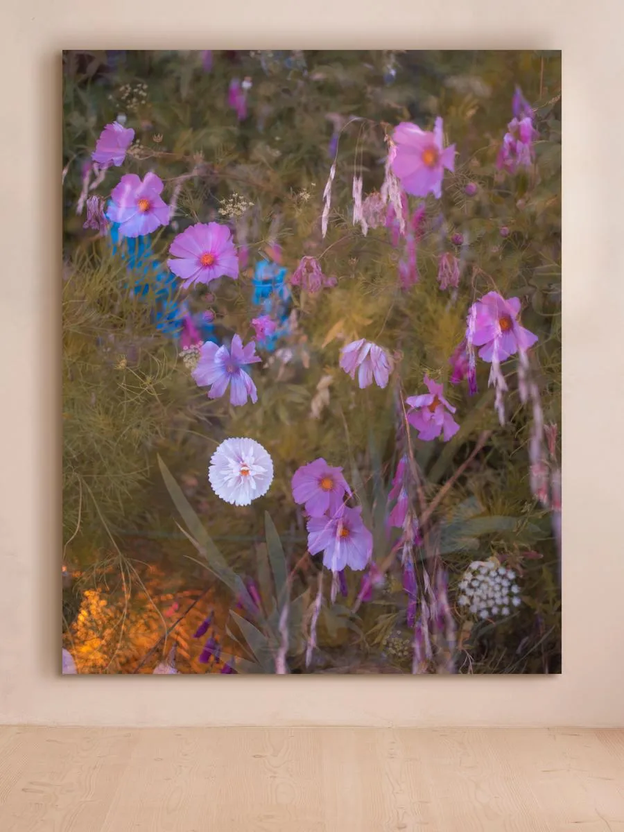 Casey Moore Meadow #41 Framed Botanical Print product
