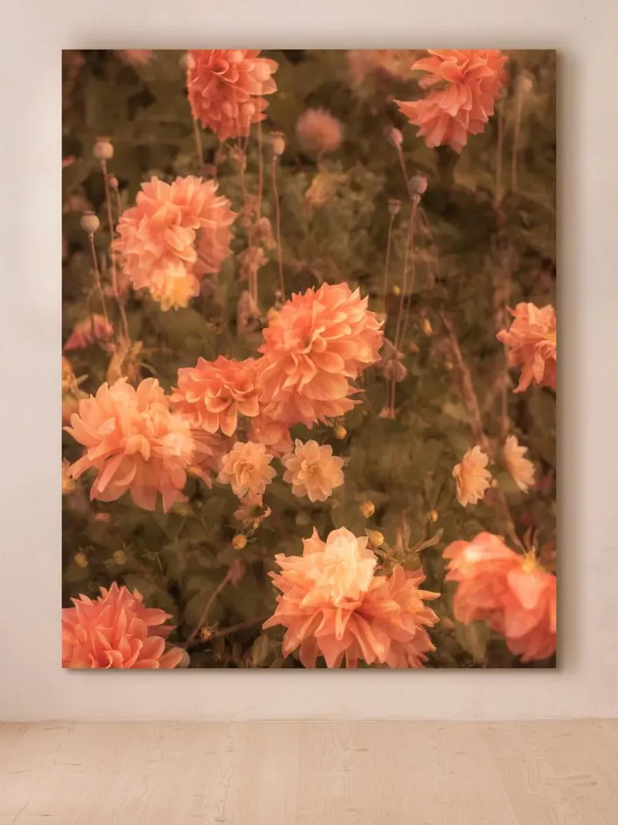 Casey Moore 'Meadow #44' Framed Botanical Photograph - Glossy product