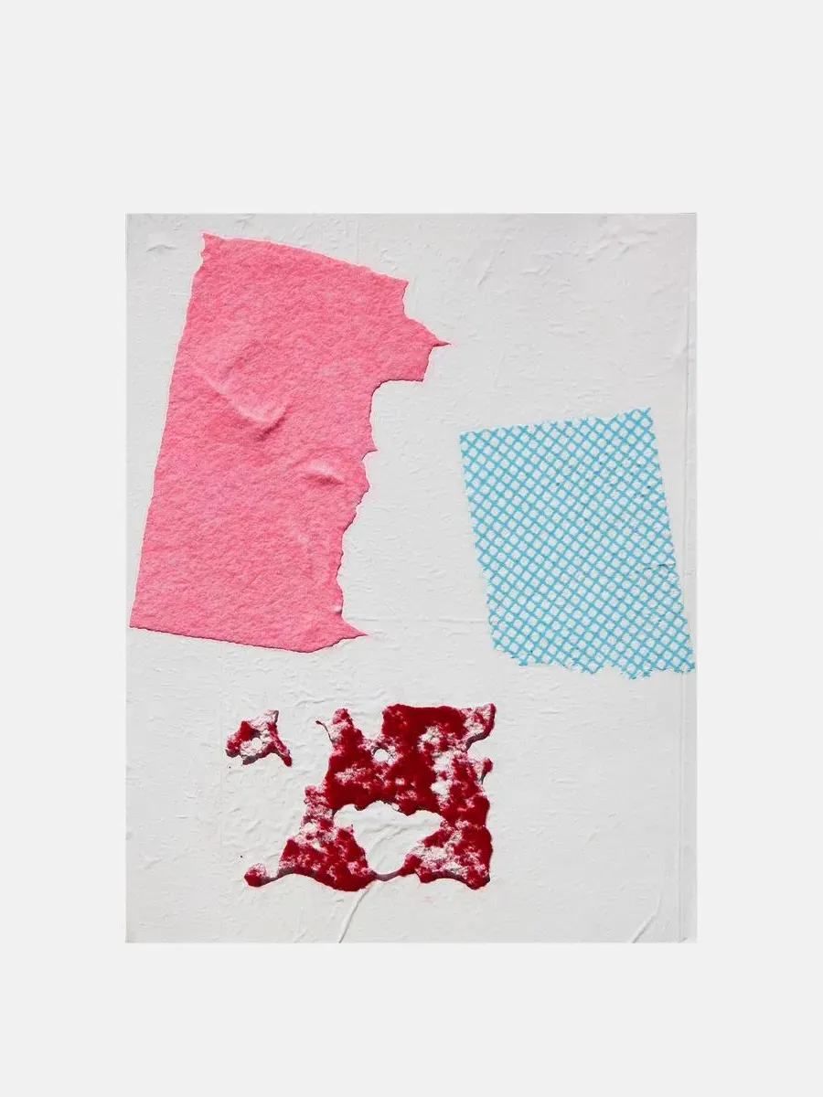 Scarlett Bowman Domestic Bliss Digital Print with Flocking Overlay product