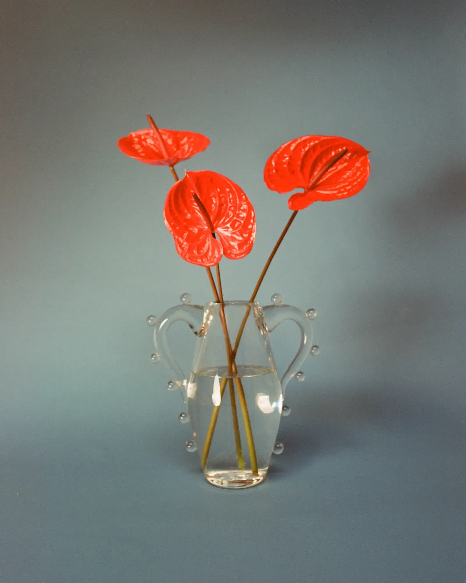 La Vitalité Double Handled Jug Vase product
