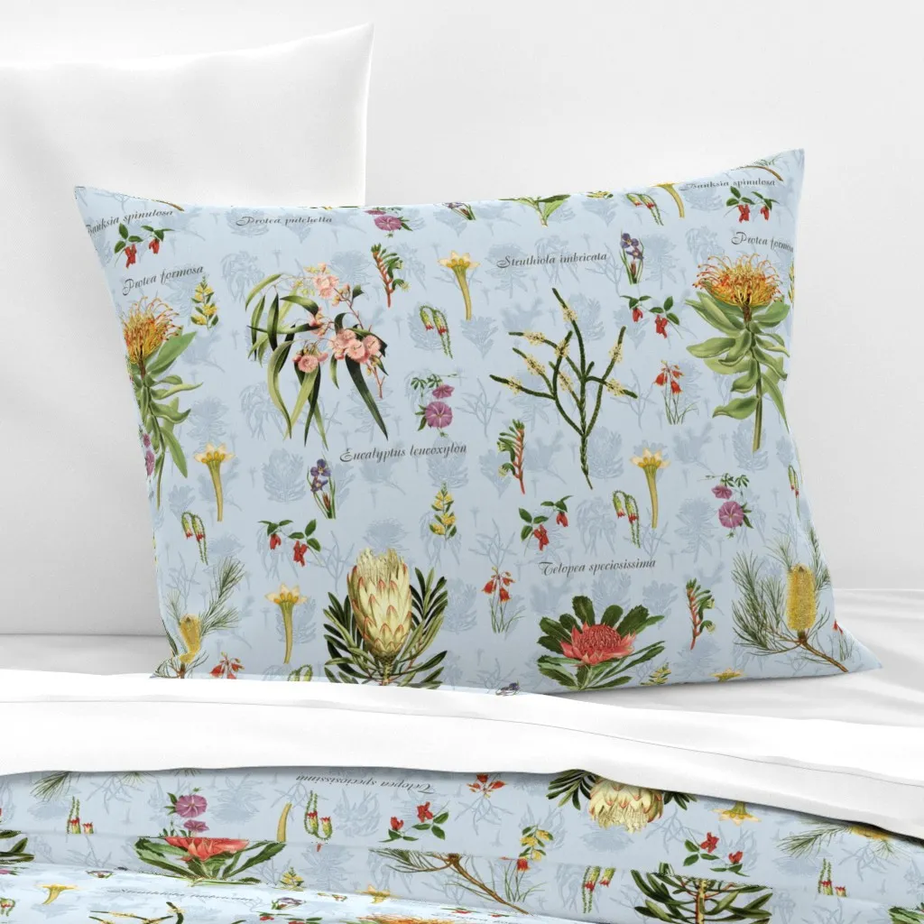 Australian Wildflowers Standard Cushion Cover - Blue, Cotton Sateen product