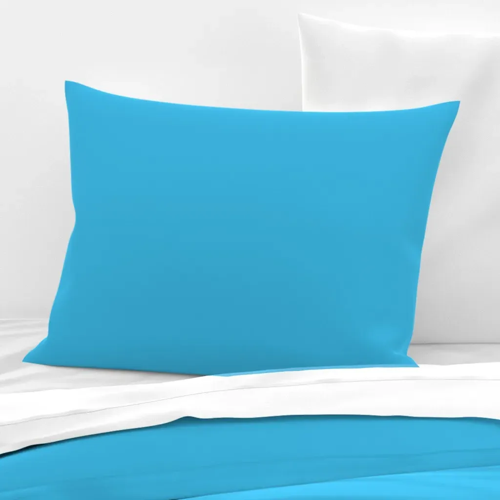 Cocktail Collection Standard Knife Edge Pillow - Aqua, Cotton Sateen product