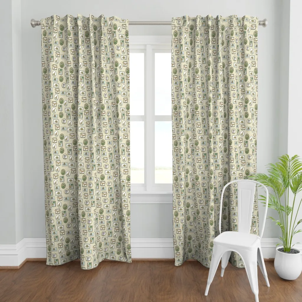 Dinosaur Frames Curtain Panel - Brown, Cream product